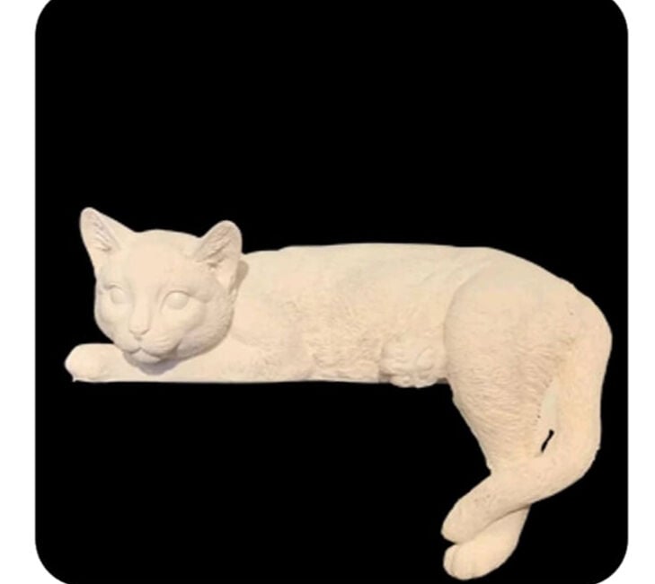 Kedi