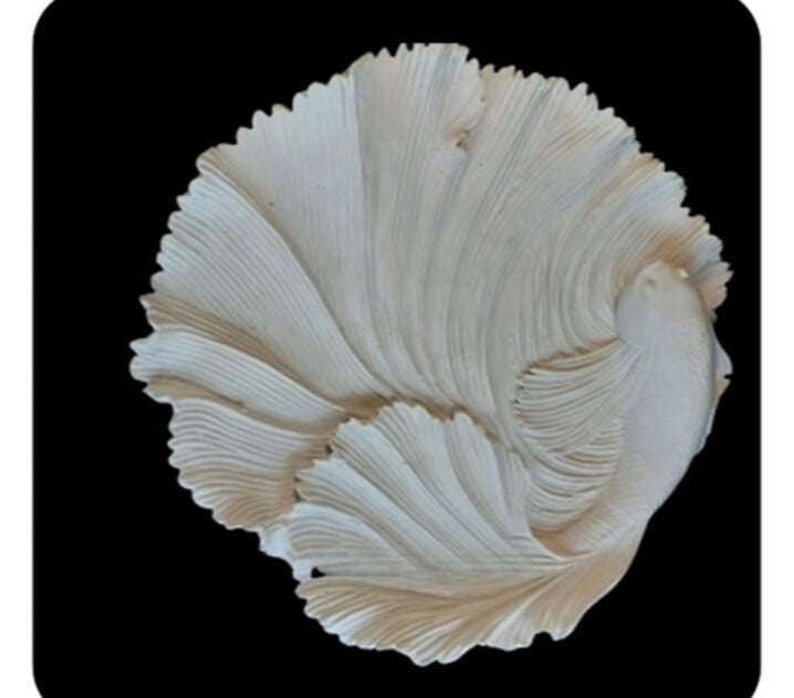 Balıklı Tabak