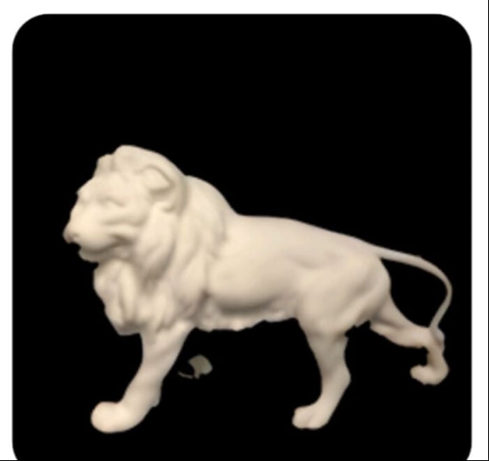 Aslan 14 CM X 20 CM